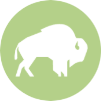 strat_icon_1